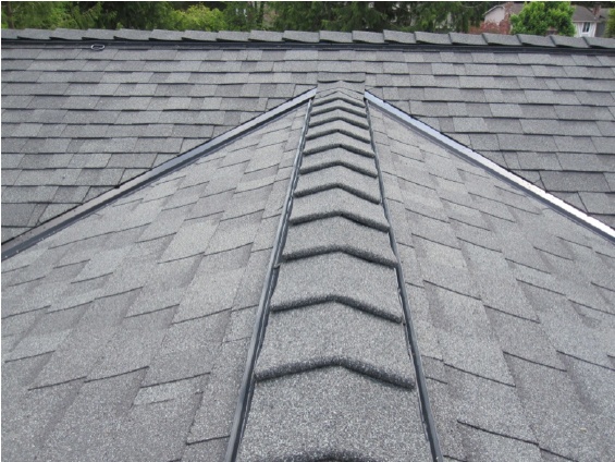 roofs